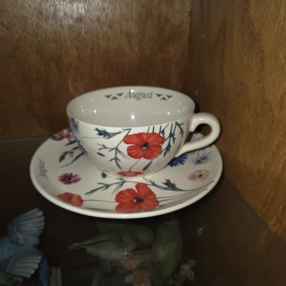 Spode Floral Teacup and Saucer Set - Red and White